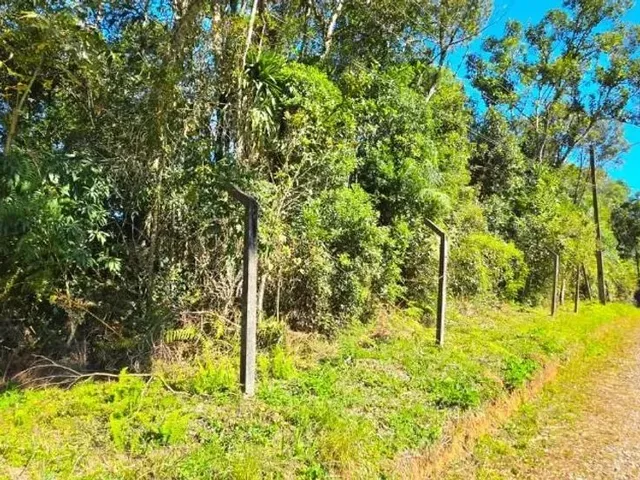 Sítio à venda, no bairro Chantecler em Piraquara