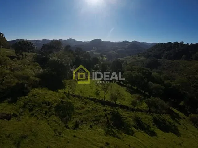 Sítio com 114260m², à venda, no bairro Área Rural de Concórdia em Concórdia