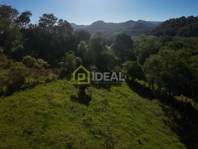 Sítio com 114260m², à venda, no bairro Área Rural de Concórdia em Concórdia