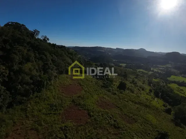 Sítio com 114260m², à venda, no bairro Área Rural de Concórdia em Concórdia