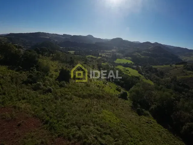 Sítio com 114260m², à venda, no bairro Área Rural de Concórdia em Concórdia