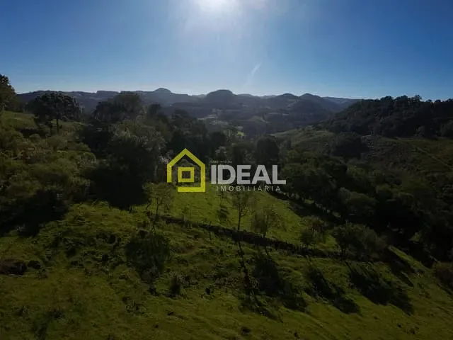 Sítio com 114260m², à venda, no bairro Área Rural de Concórdia em Concórdia