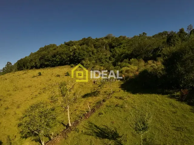 Sítio com 114260m², à venda, no bairro Área Rural de Concórdia em Concórdia
