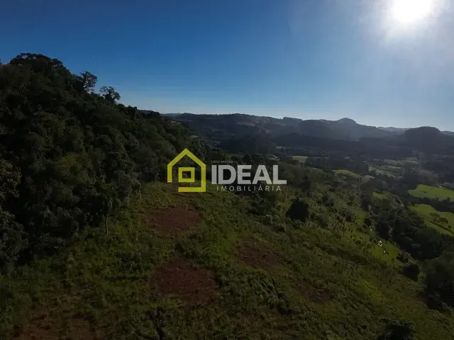 Sítio com 114260m², à venda, no bairro Área Rural de Concórdia em Concórdia