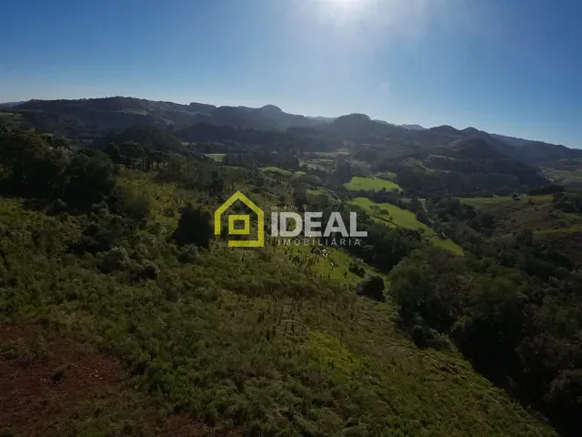 Sítio com 114260m², à venda, no bairro Área Rural de Concórdia em Concórdia