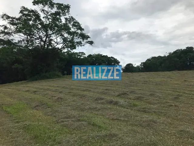 Sítio com 21175m², à venda, no bairro Gruta do Rio Marau em Marau