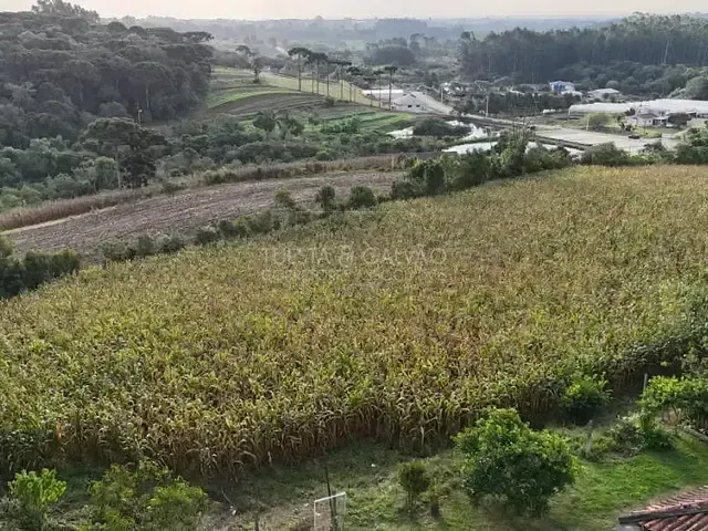 Sítio com 220m² 3 quartos e 2 banheiros, à venda, no bairro Colônia Murici em São José Dos Pinhais