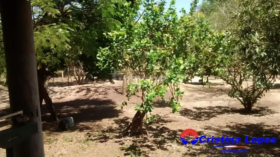 Sítio, 1 quarto, 3 hectares - Foto 4