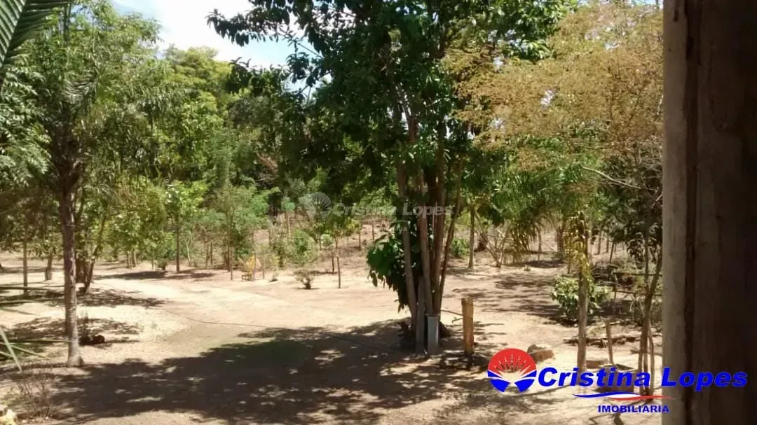 Sítio, 1 quarto, 3 hectares - Foto 7