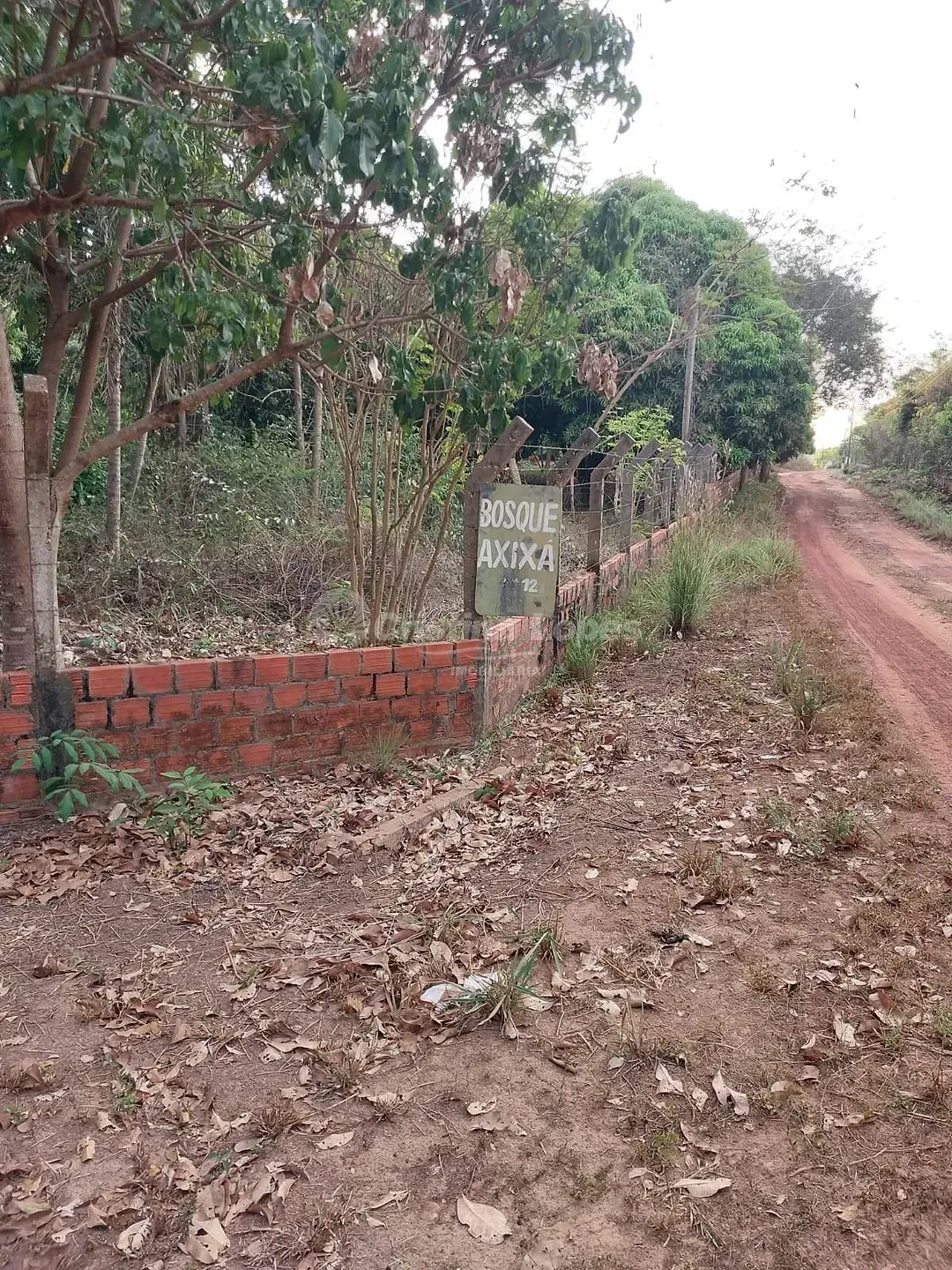 Sítio, 1 quarto, 3 hectares - Foto 16