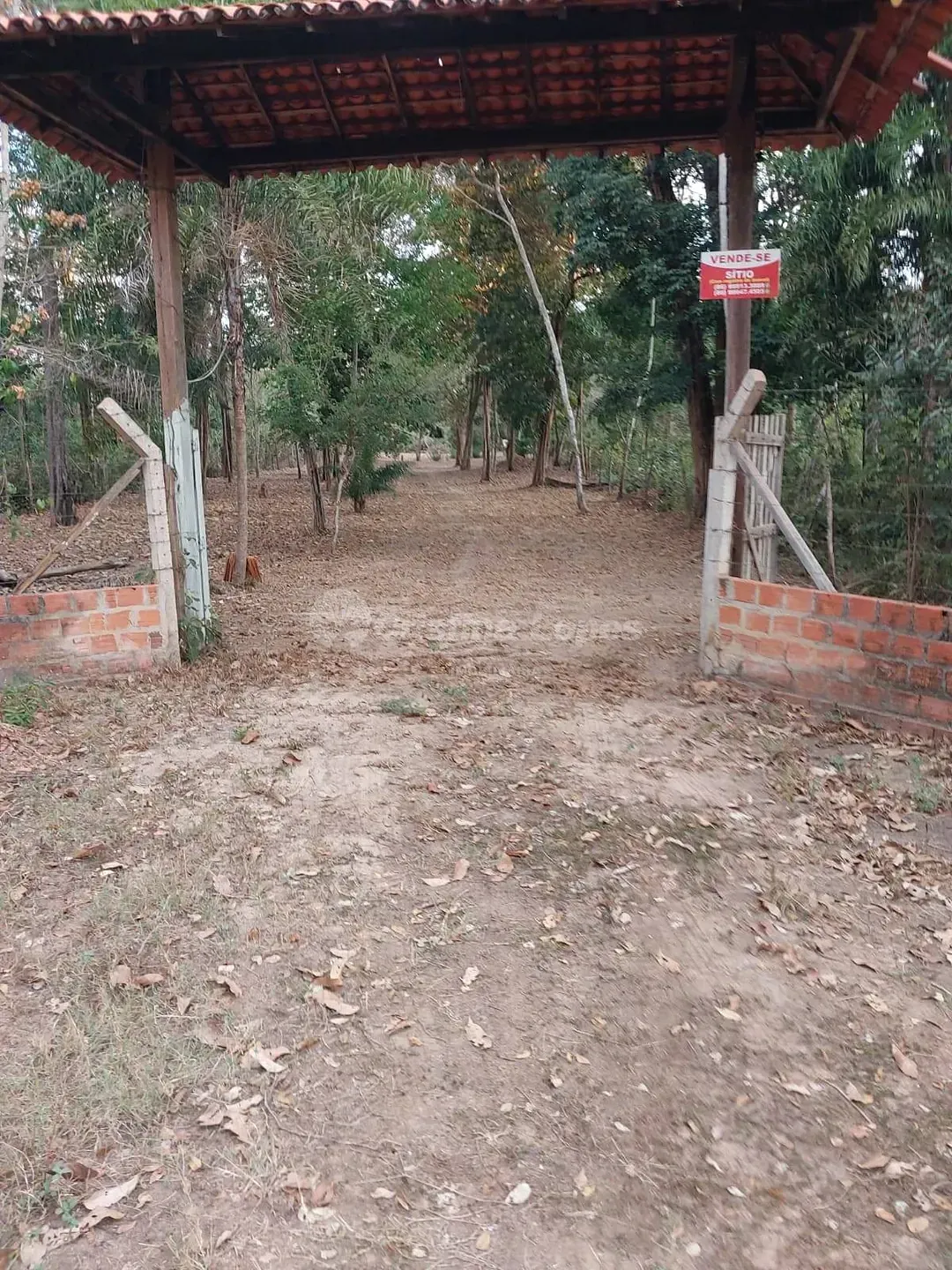 Sítio, 1 quarto, 3 hectares - Foto 13