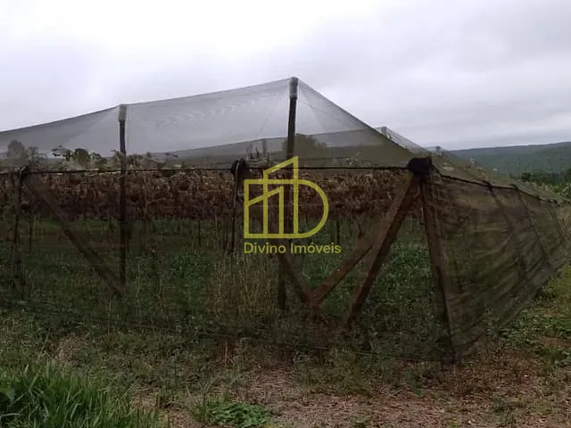 Sítio com 82280m², à venda, no bairro Vila Sao Joao em São Miguel Arcanjo