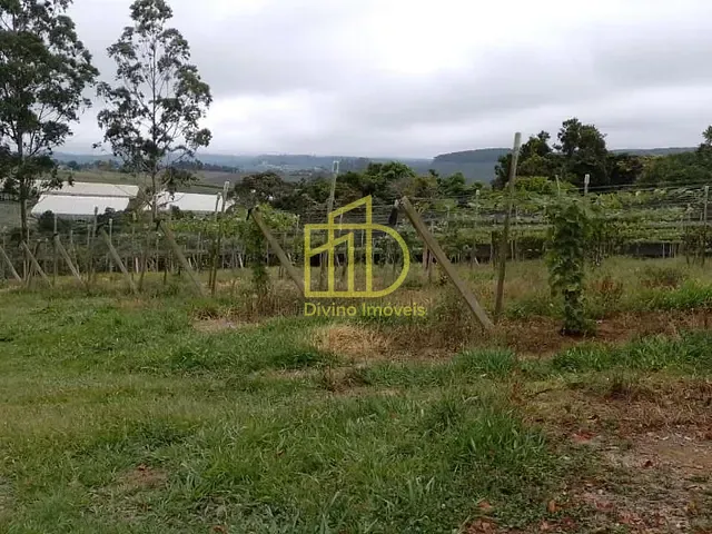 Sítio com 82280m², à venda, no bairro Vila Sao Joao em São Miguel Arcanjo