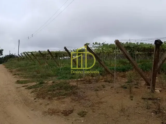 Sítio com 82280m², à venda, no bairro Vila Sao Joao em São Miguel Arcanjo