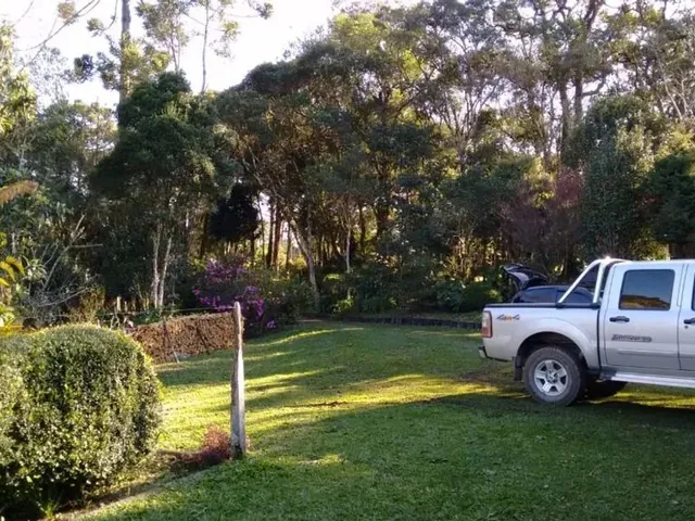 Sítio 3 quartos e 2 banheiros, à venda, no bairro Borda Do Campo em São José Dos Pinhais