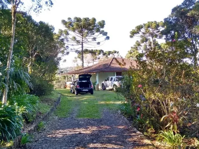 Sítio 3 quartos e 2 banheiros, à venda, no bairro Borda Do Campo em São José Dos Pinhais