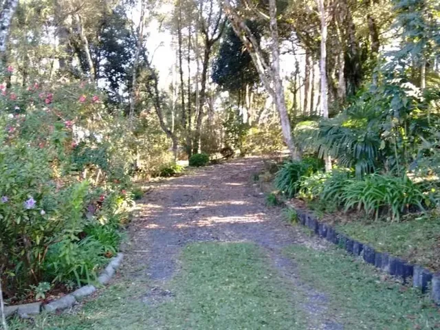 Sítio 3 quartos e 2 banheiros, à venda, no bairro Borda Do Campo em São José Dos Pinhais