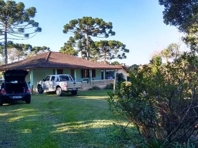 Sítio 3 quartos e 2 banheiros, à venda, no bairro Borda Do Campo em São José Dos Pinhais