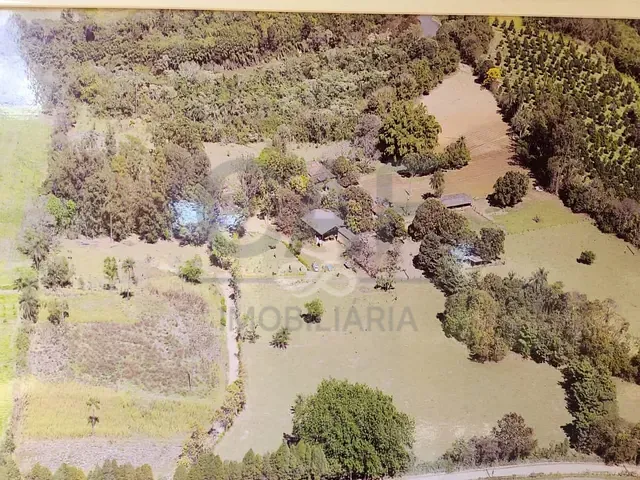 Sítio com 133100m² 3 quartos e 3 banheiros, à venda, no bairro Borda da Mata em Jaguariúna
