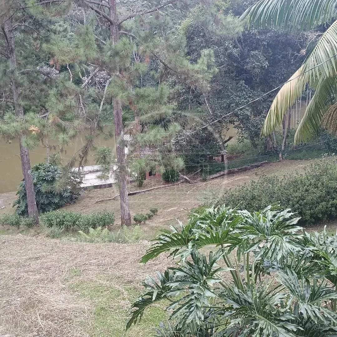 Fazenda, 2 hectares - Foto 71