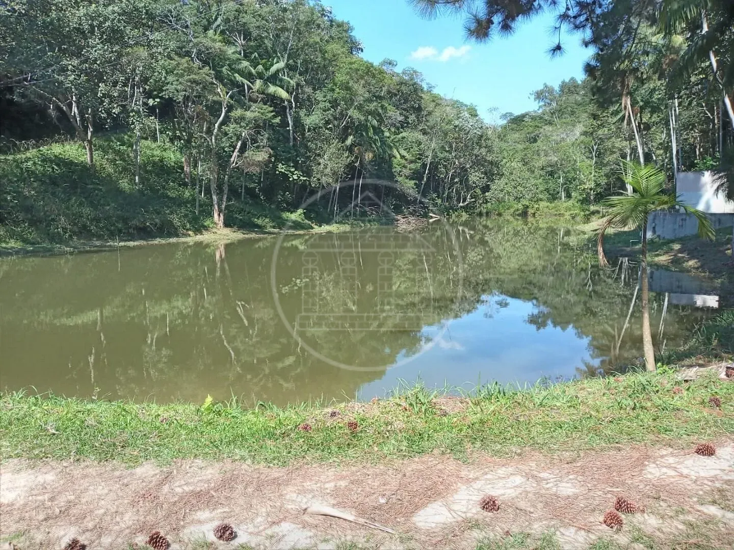 Fazenda, 2 hectares - Foto 11