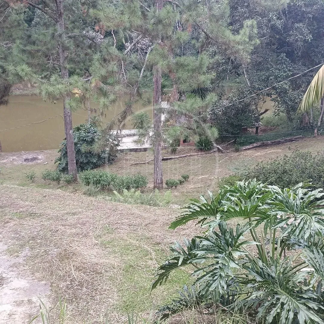 Fazenda, 2 hectares - Foto 72