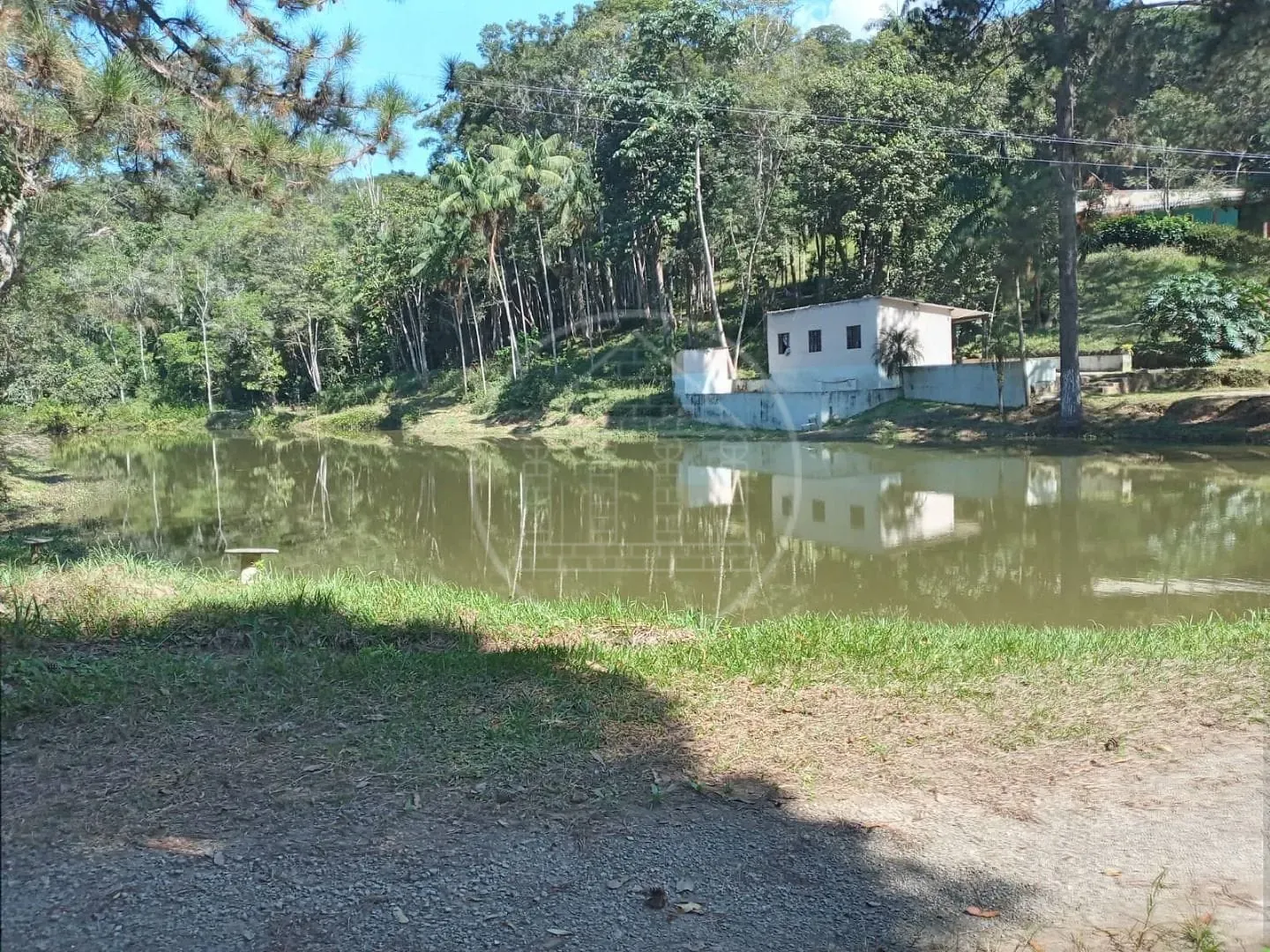 Fazenda, 2 hectares - Foto 9
