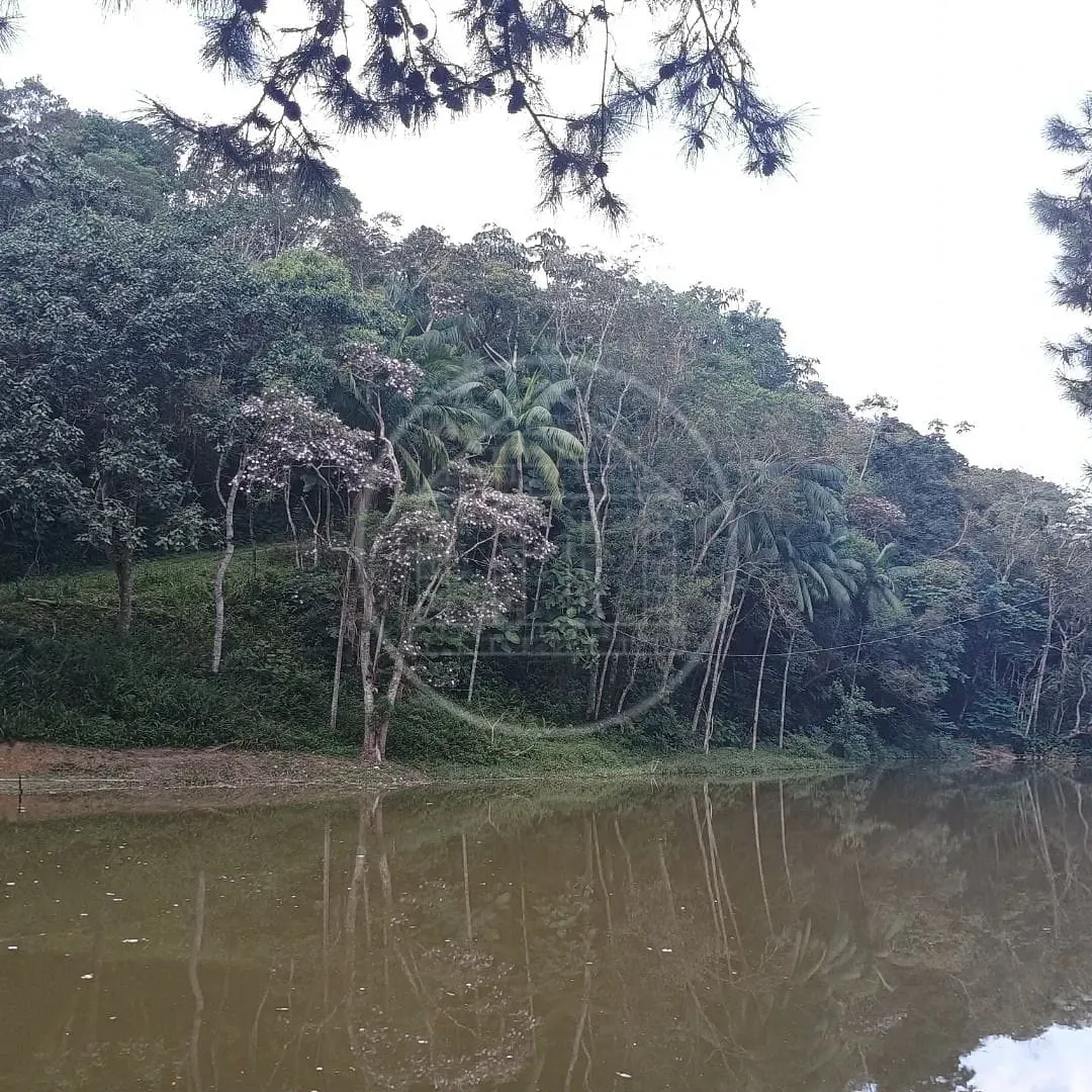 Fazenda, 2 hectares - Foto 91