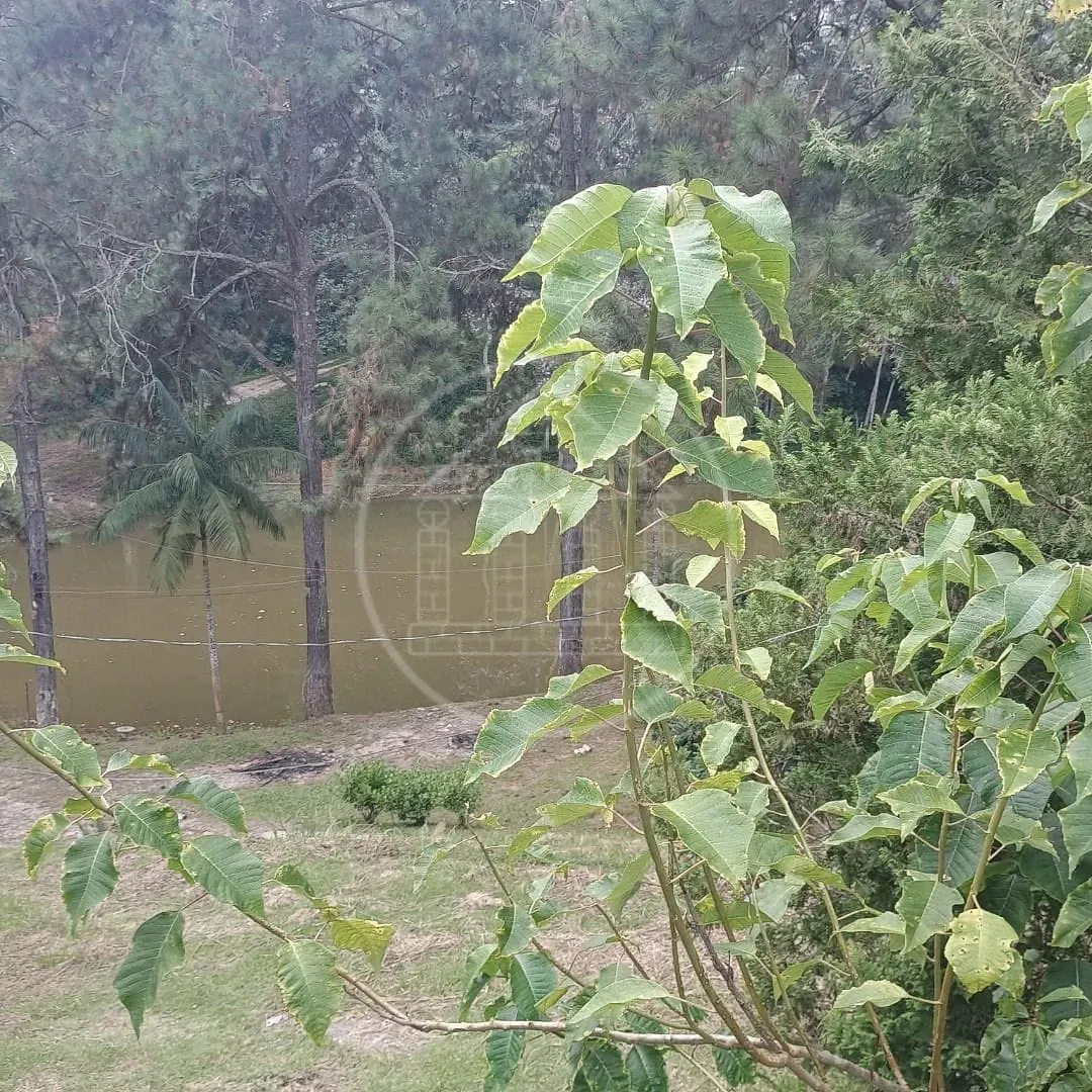 Fazenda, 2 hectares - Foto 87
