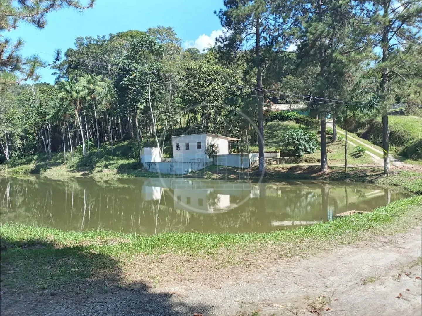 Fazenda, 2 hectares - Foto 10
