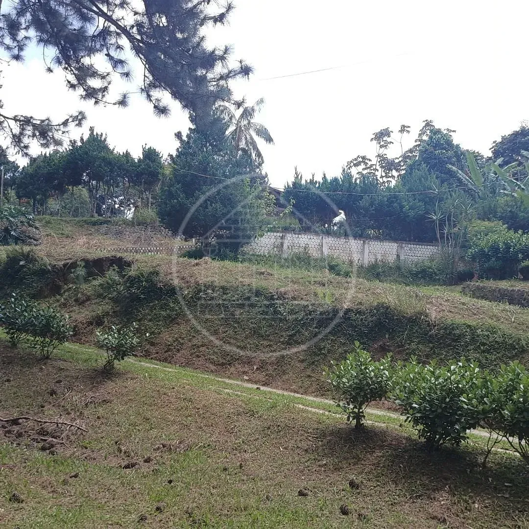 Fazenda, 2 hectares - Foto 94