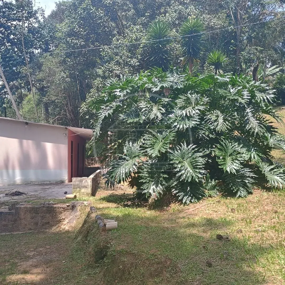 Fazenda, 2 hectares - Foto 29