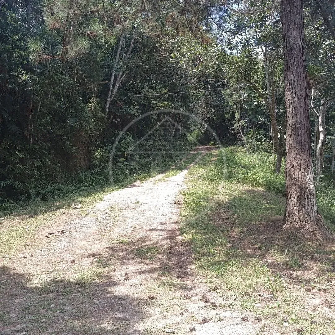 Fazenda, 2 hectares - Foto 96