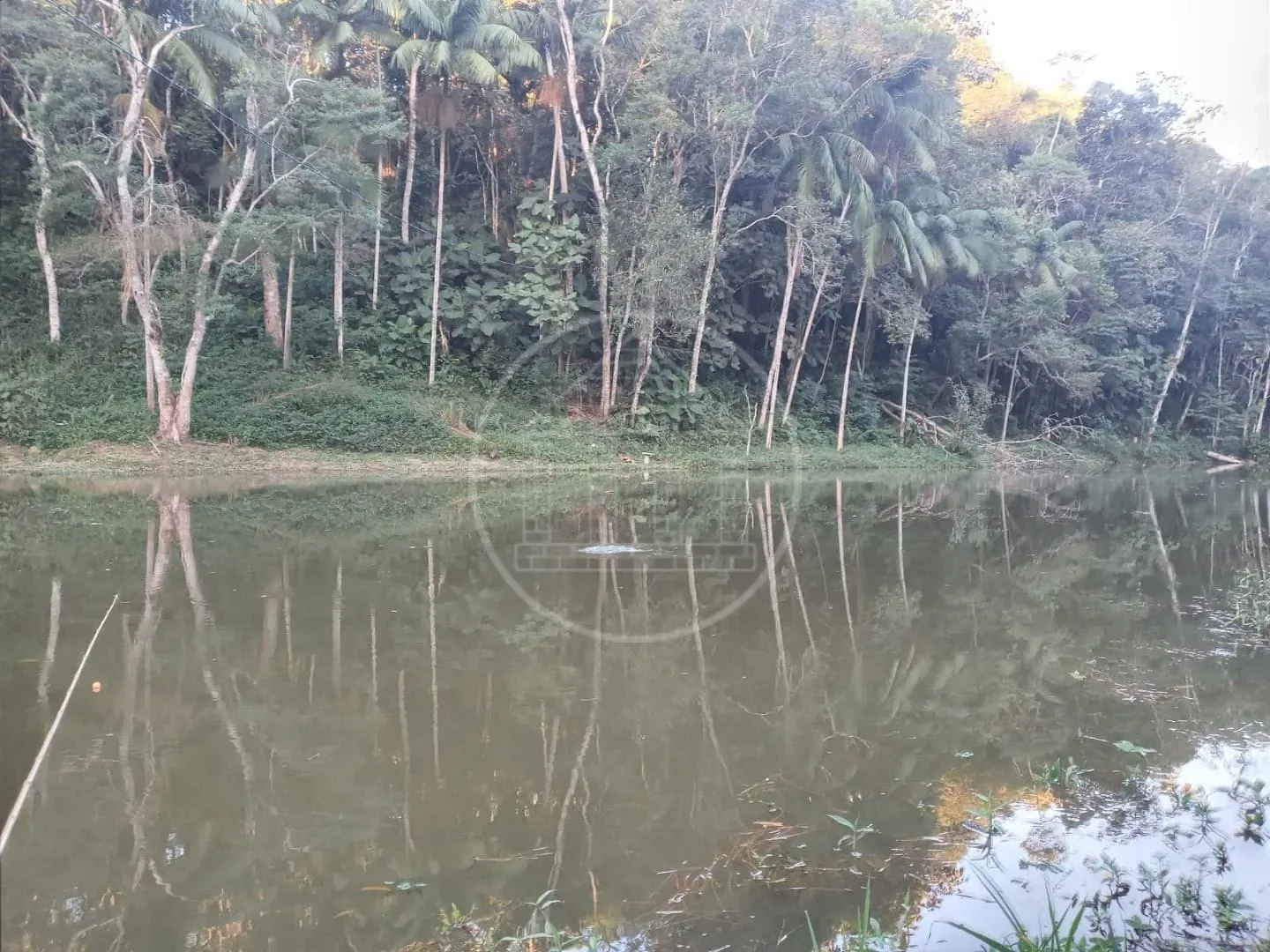 Fazenda, 2 hectares - Foto 15