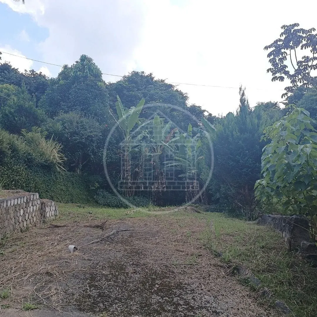 Fazenda, 2 hectares - Foto 83