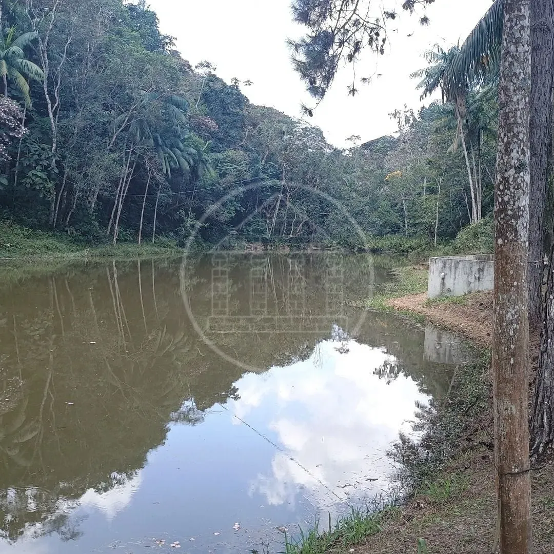 Fazenda, 2 hectares - Foto 90