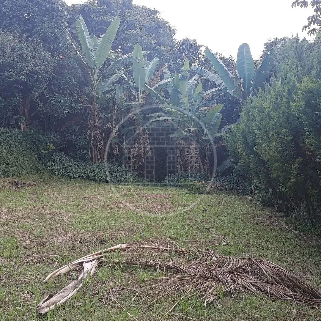 Fazenda, 2 hectares - Foto 84