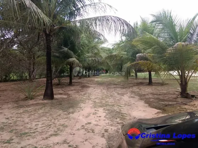 Sítio com 5000m² 3 quartos e 1 banheiro, à venda, no bairro Santa Teresa em Teresina