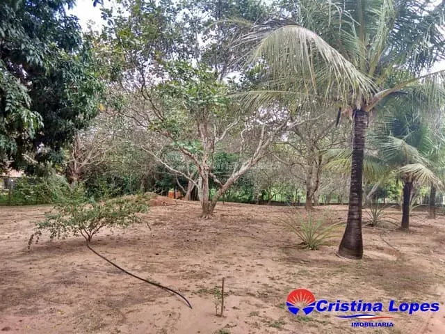 Sítio com 5000m² 3 quartos e 1 banheiro, à venda, no bairro Santa Teresa em Teresina