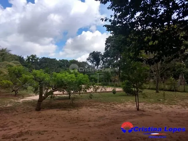 Sítio com 5000m² 3 quartos e 1 banheiro, à venda, no bairro Santa Teresa em Teresina
