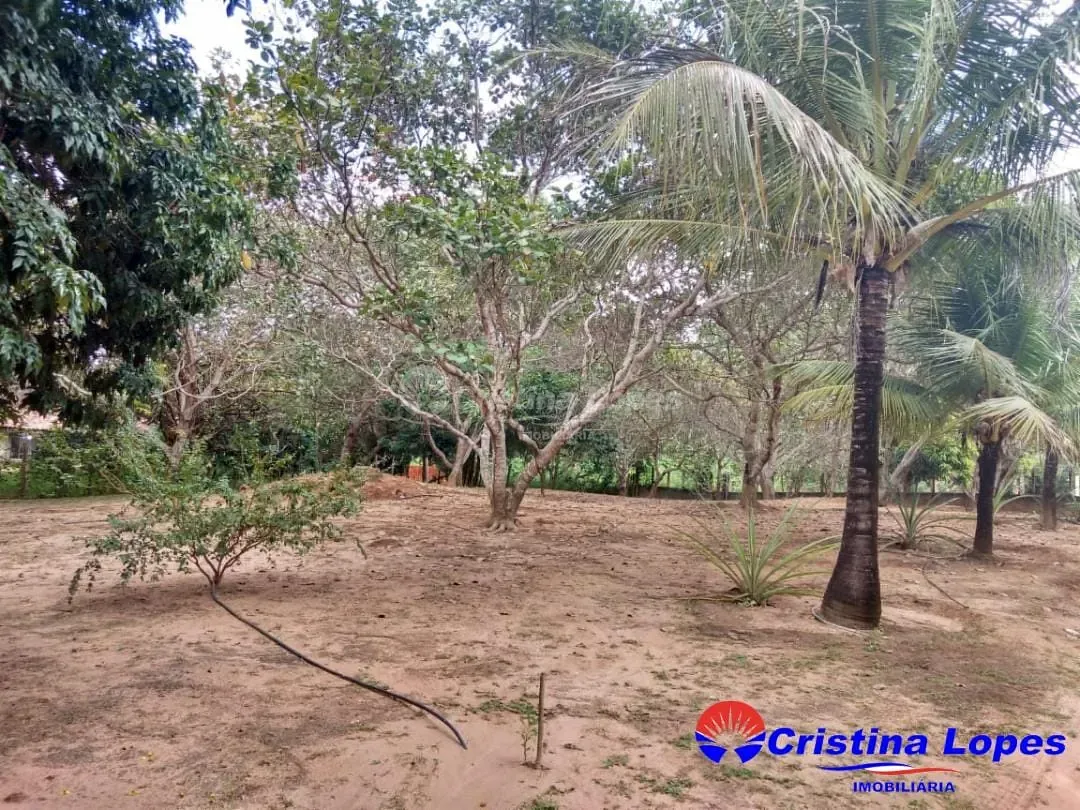 Chácara, 3 quartos, 5000 m² - Foto 2