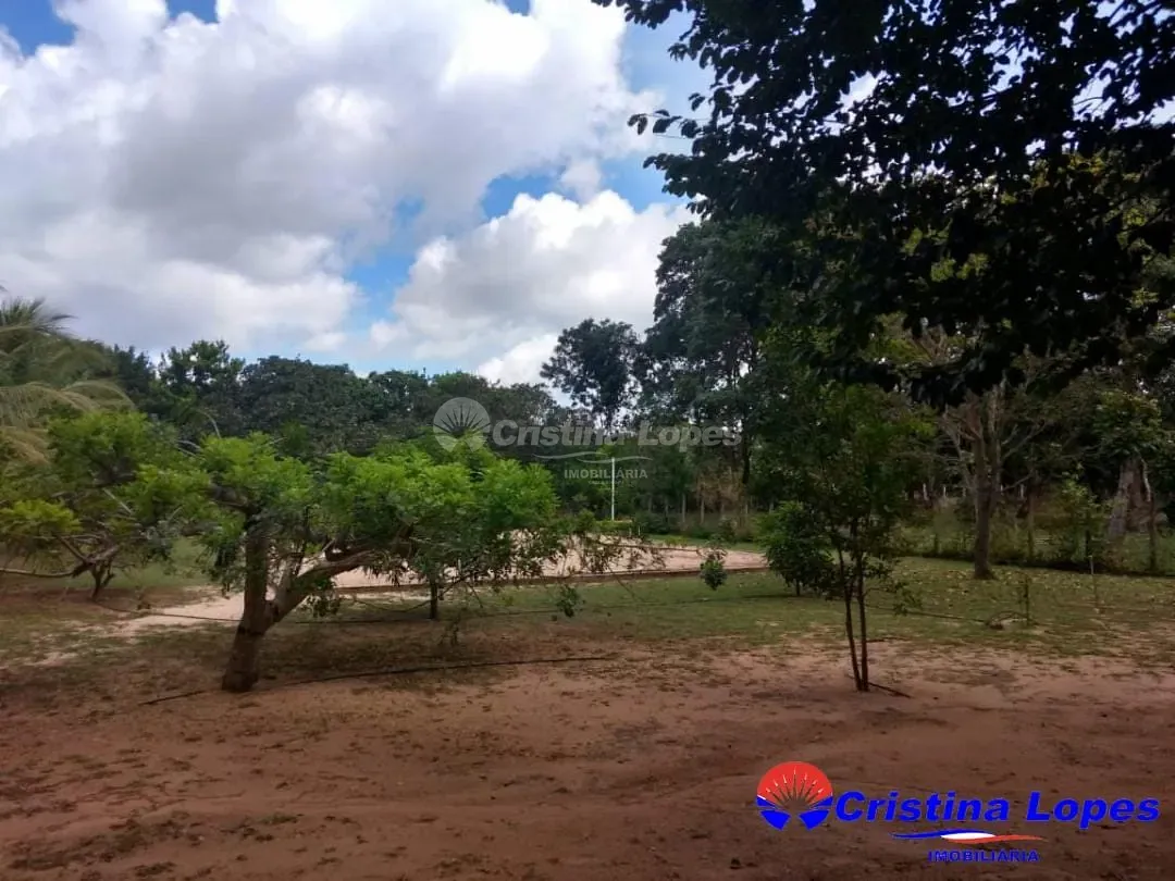 Chácara, 3 quartos, 5000 m² - Foto 4