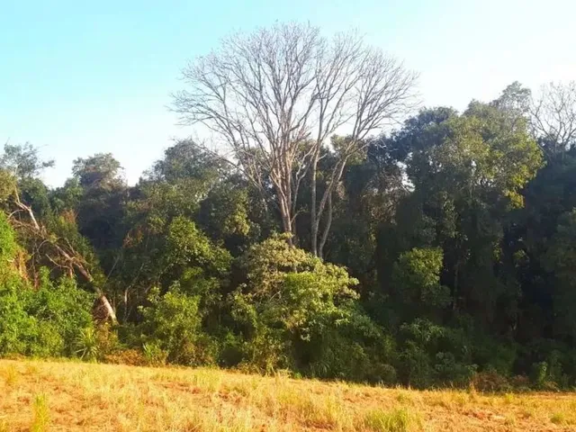 Sítio 2 quartos e 1 banheiro, à venda, no bairro Serrinha em Contenda