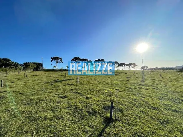 Sítio com 5000m², à venda, no bairro São Luis da Mortandade em Marau