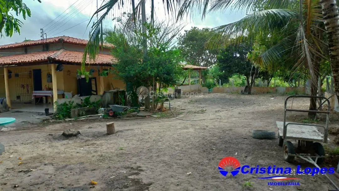 Fazenda, 2 hectares - Foto 9
