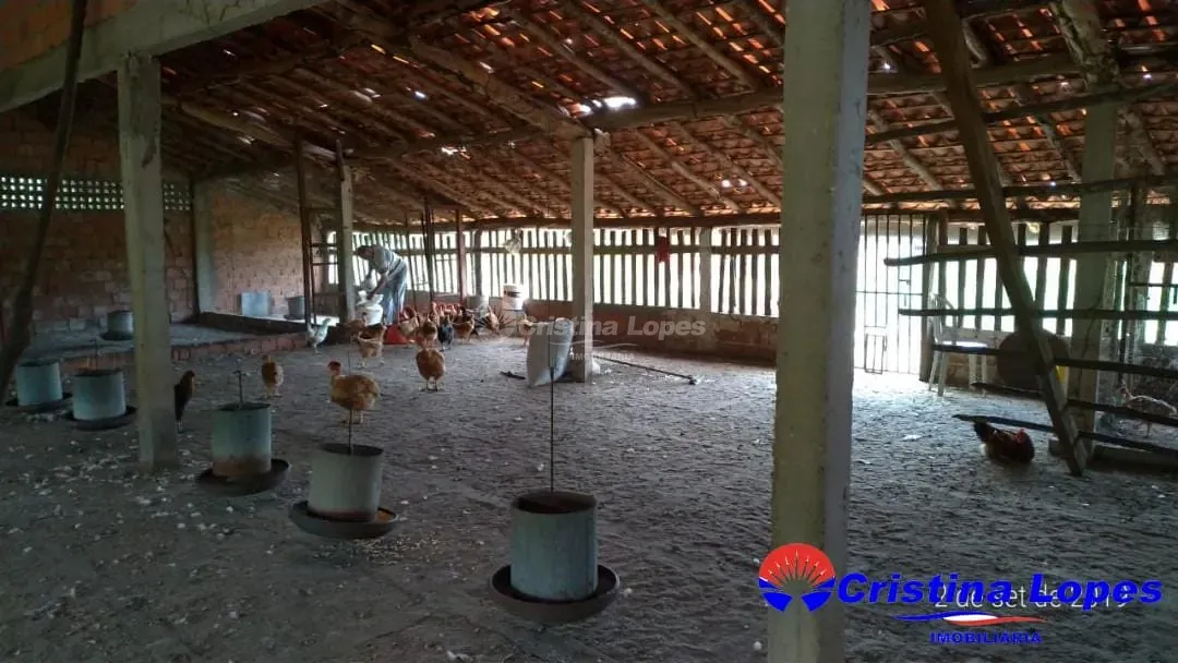 Fazenda, 2 hectares - Foto 19