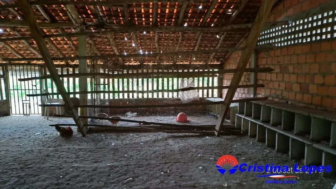 Fazenda, 2 hectares - Foto 18