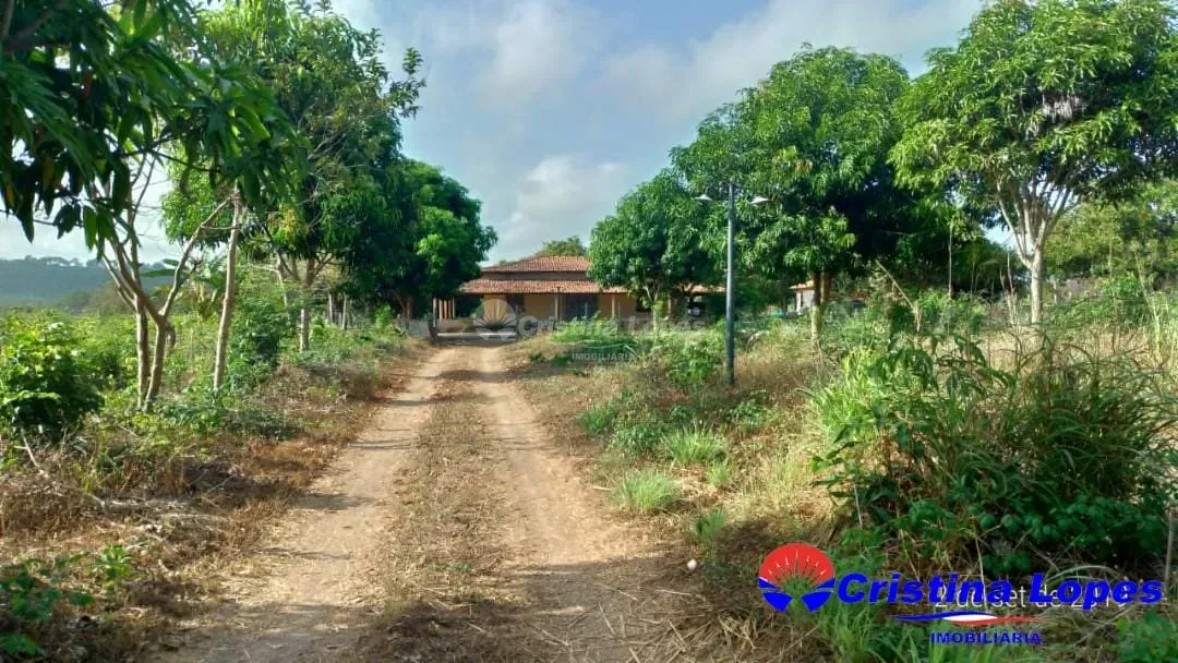 Fazenda, 2 hectares - Foto 35
