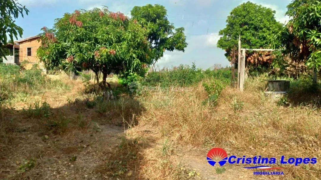 Fazenda, 2 hectares - Foto 22