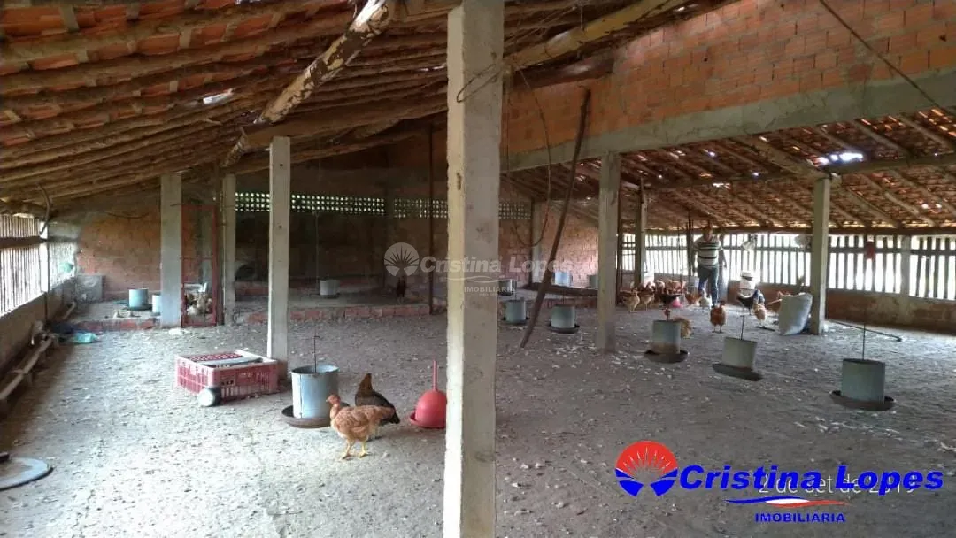 Fazenda, 2 hectares - Foto 17